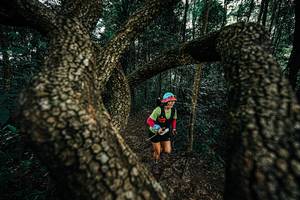 BIB: 
                            <button type="button" onclick="openModal(25393622)" class="btn btn-primary btn-sm float-right btn-popup" data-toggle="modal" data-target=".modal-high-quality">
                        <i class="fas fa-shopping-cart"></i> Add to Cart
                    </button>
                                            <button type="button" onclick="isThisMe(25393622, true)" class="btn btn-success btn-sm float-right btn-popup btn-isme hidden" data-toggle="tooltip" data-placement="bottom" title="นี่คือรูปของคุณใช่ไหม คลิกที่นี่เพื่อเอาเข้าอัลบั้ม">
                        <i class="fas fa-plus"></i> Add to album
                    </button>
                    <button type="button" onclick="isThisMe(25393622, false)" class="btn btn-warning btn-sm float-right btn-popup btn-isnotme hidden">
                        <i class="fas fa-ban"></i> Remove from album
                    </button>